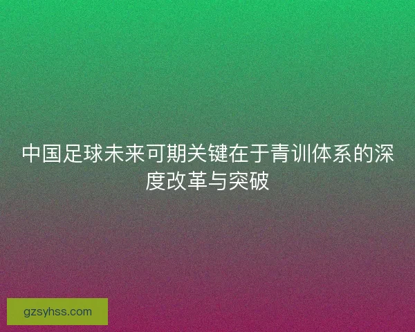 中国足球未来可期关键在于青训体系的深度改革与突破
