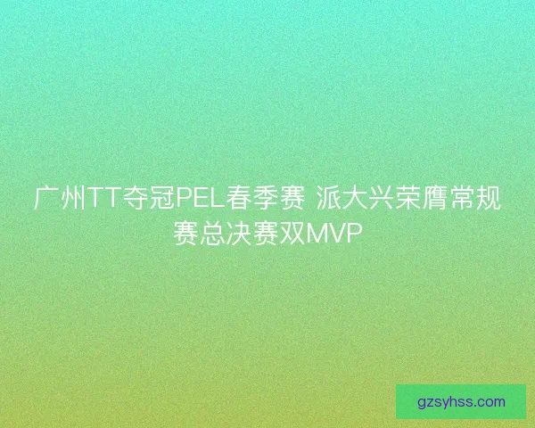 广州TT夺冠PEL春季赛 派大兴荣膺常规赛总决赛双MVP
