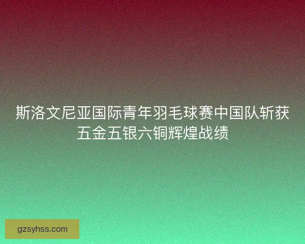 斯洛文尼亚国际青年羽毛球赛中国队斩获五金五银六铜辉煌战绩
