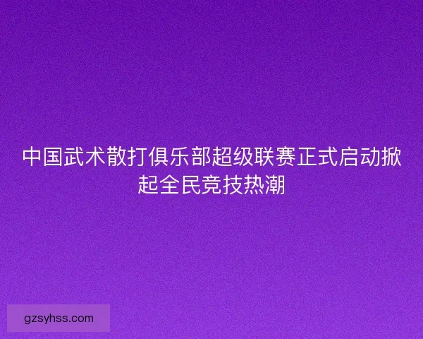 中国武术散打俱乐部超级联赛正式启动掀起全民竞技热潮